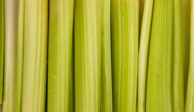 Yeşil yaprağın aşırı yakın çekim dokusu