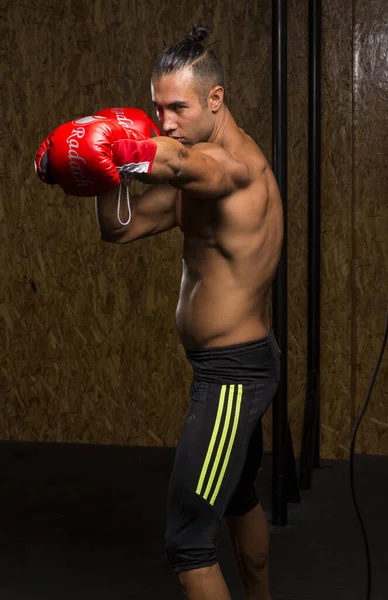 Athletic Boxer Man Training Gym Hard Training Routine – stockfoto