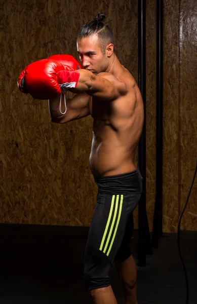 Athletic Boxer Man Training Gym Hard Training Routine - Stock-foto