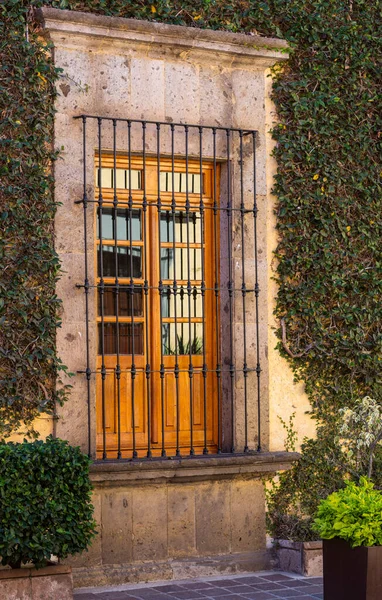 Окна Дома Покрыты Зелеными Кластерами — стоковое фото