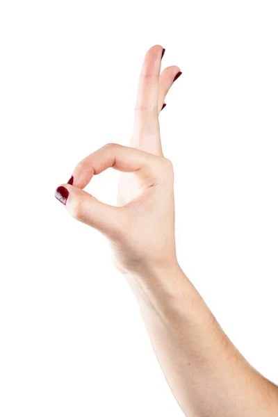白い背景に異なる形状を示すエレガントな女性の手 — ストック写真