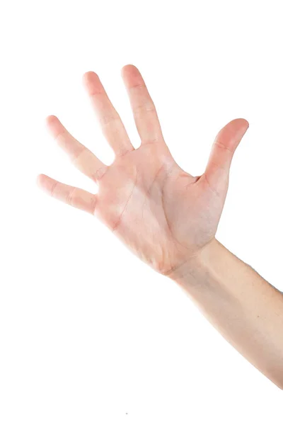 Elegant Female Hands Showing Different Shapes White Background — Stock Photo, Image