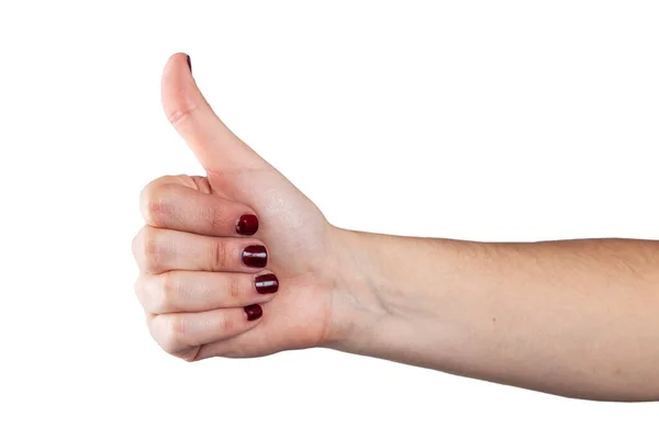 Elegant Female Hands Showing Different Shapes White Background — Stock Photo, Image