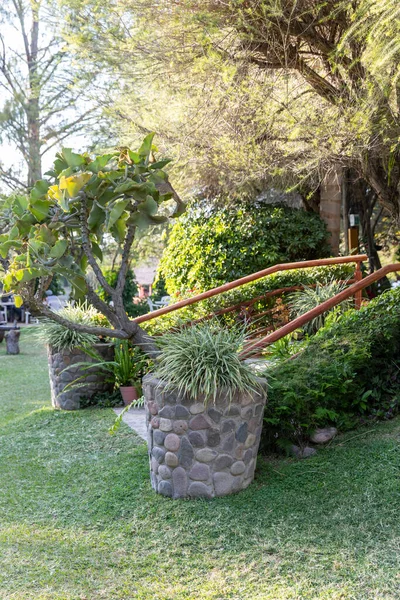 Broeikas Vol Groene Planten Teelt Huis Van Decoratieve Planten Groenten — Stockfoto