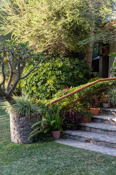 Invernadero Lleno Plantas Verdes Casa Cultivo Plantas Verduras Decorativas —  Fotos de Stock