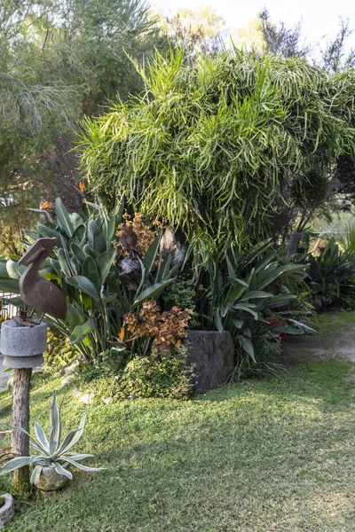 Broeikas Vol Groene Planten Teelt Huis Van Decoratieve Planten Groenten — Stockfoto