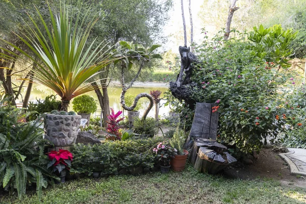 Broeikas Vol Groene Planten Teelt Huis Van Decoratieve Planten Groenten — Stockfoto