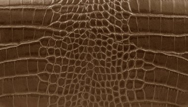 Kas derisinin arka plan deseninin ayrıntıları