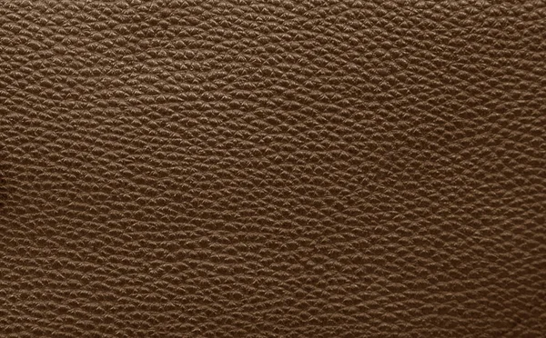 Detail Brown Leather Texture Background Pattern — Stock Photo, Image
