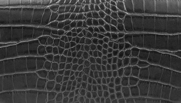 Détail Cuir Noir Texture Motif Fond — Photo