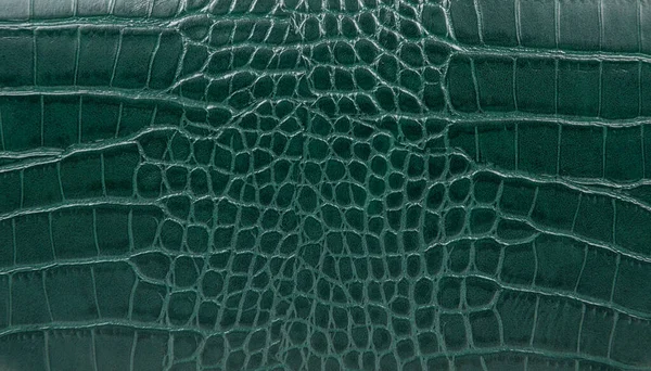 Detalle Del Patrón Fondo Textura Cuero Verde —  Fotos de Stock