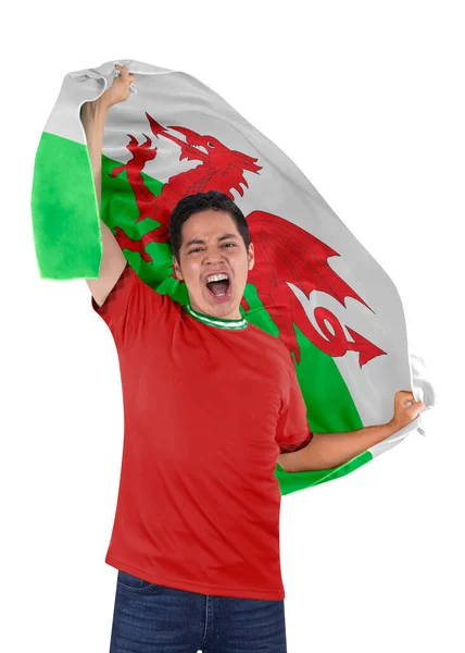 Fotbalový Fanoušek Vlajkou Své Země Wales Dres Křičí Emocemi Vítězství — Stock fotografie