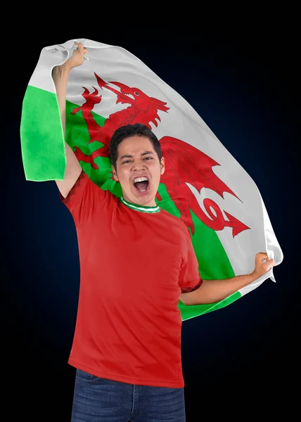 Voetbalfan Met Vlag Van Zijn Land Wales Trui Schreeuwend Van — Stockfoto