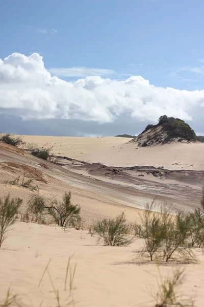 Duna de areia — Fotografia de Stock