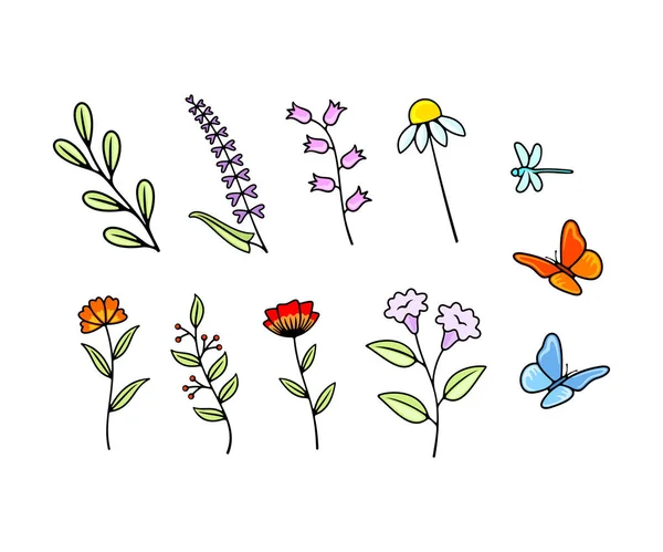 Zestaw Kwiatów Wektorowych Dzikich Kwiatów Liści Kwitnienia Kwitnienia Natura Rośliny — Wektor stockowy