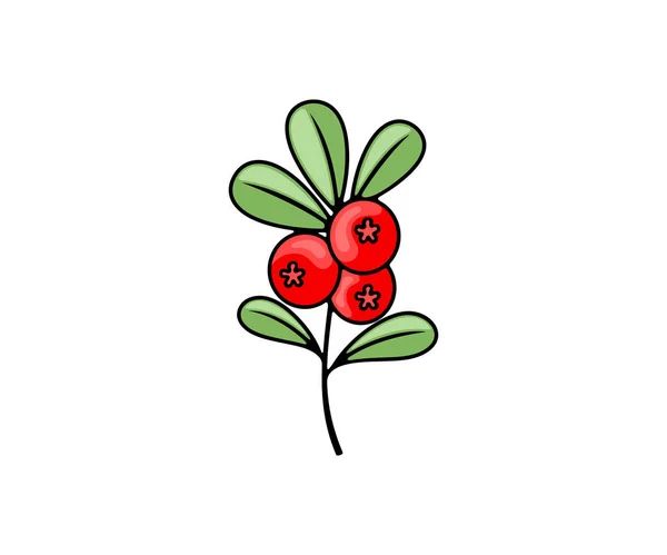 Cowberry Lingonberry Cranberry Foxberry Bagas Desenho Vetorial Ilustração Alimentação Refeição — Vetor de Stock