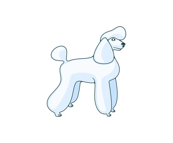 Poodle Big Royal Poodle Dog Logo Design Animal Pet Pet — Vetor de Stock