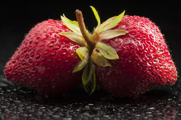 Morangos, frutas, vermelho, macro, minimalista, molhado, estúdio, gostoso — Fotografia de Stock