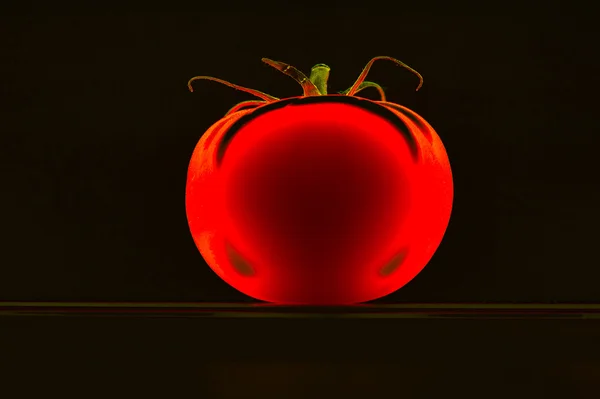 Tomate, vegetal, orgânico, luminoso, vermelho, isolado, esparso — Fotografia de Stock