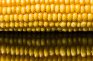 Mısır, makro, sarı, olgun, iştah açıcı, gıda, sağlıklı beslenme