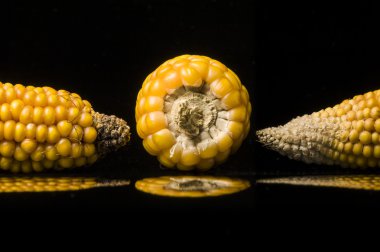 Corn, cob, yellow, ripe, copy space, food, black clipart