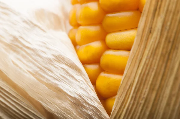 Maïs, macro, geel, suikermaïs, smakelijk, eten, gezond eten — Stockfoto