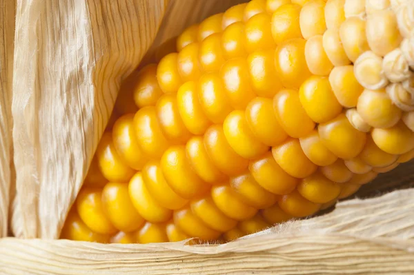 Corn, macro, yellow, ripe, appetizing, food, healthy eating — Stock Photo, Image