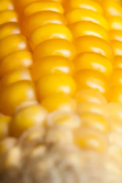 Kukorica, a makró, a sárga, a csemegekukorica, étvágygerjesztő, élelmiszer, táplálkozás — Stock Fotó