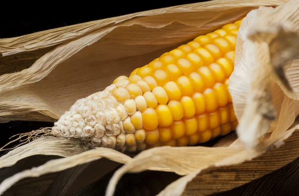 Corn, cob, yellow, decoration, still life, elegance — Stock Photo, Image