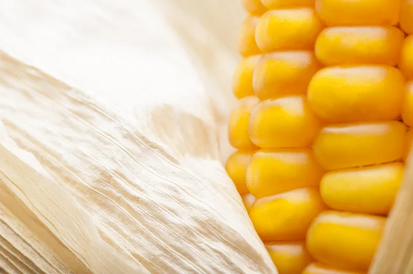 Corn, macro, yellow, ripe, appetizing, food, healthy eating — Stock Photo, Image