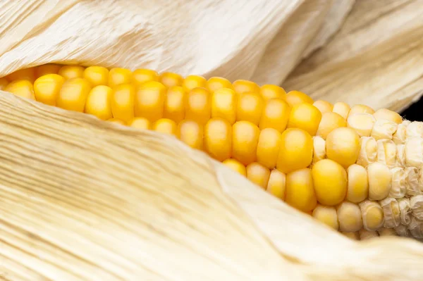 Makro, gelb, Mais, Zuckermais, appetitlich, Lebensmittel, Gesundes Essen — Stockfoto