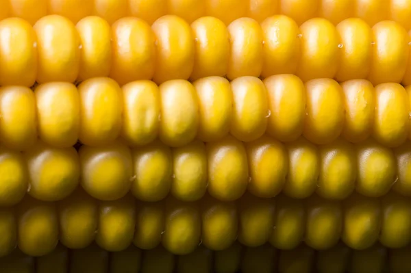 トウモロコシ、マクロ、黄色、熟した、食欲をそそる、食品、健康的な食事 — ストック写真