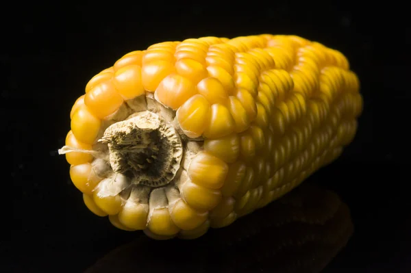 Corn, cob, yellow, ripe, grain, food, wellness, Zea mays — Stock Photo, Image