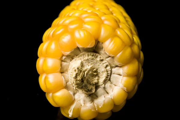 Corn, cob, yellow, ripe, grain, food, wellness, Zea mays — Stock Photo, Image