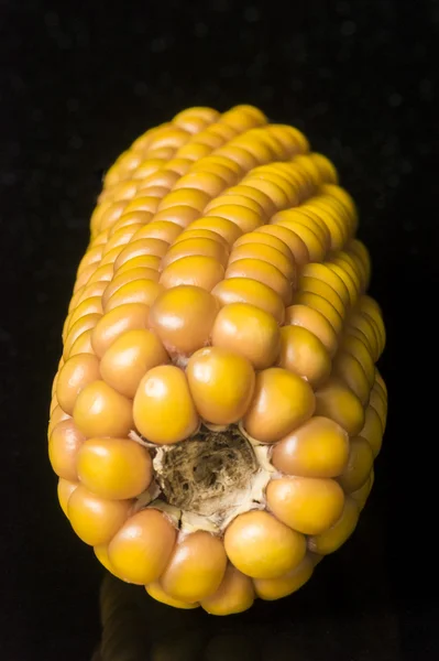 Kukurydza, makro, żółty, dojrzałe, apetyczny, żywność, zdrowe odżywianie — Zdjęcie stockowe