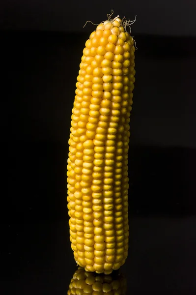 Corn, cob, yellow, ripe, grain, food, wellness, Zea mays — Stock Photo, Image