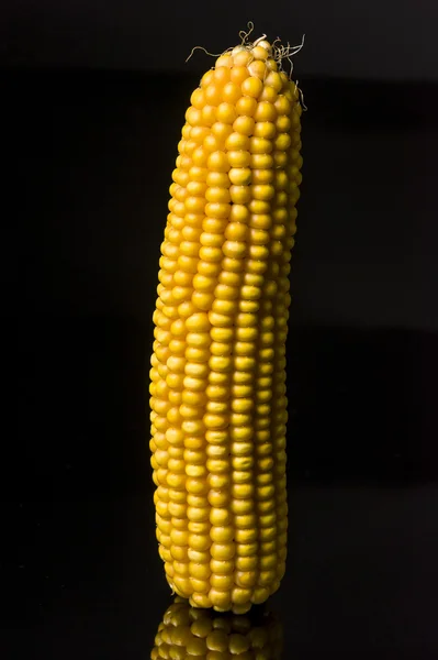 Mısır koçanı, sarı, olgun, tahıl, gıda, sağlık, zea mays — Stok fotoğraf