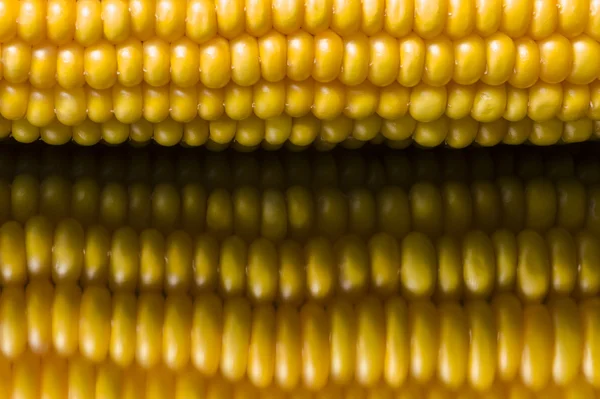 Corn, macro, yellow, ripe, appetizing, food, healthy eating — Stock Photo, Image