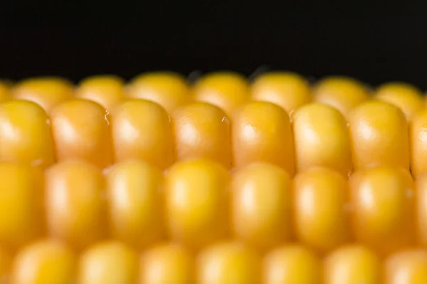 Kukorica, a makró, a sárga, érett, étvágygerjesztő, élelmiszerek, egészséges táplálkozás — Stock Fotó