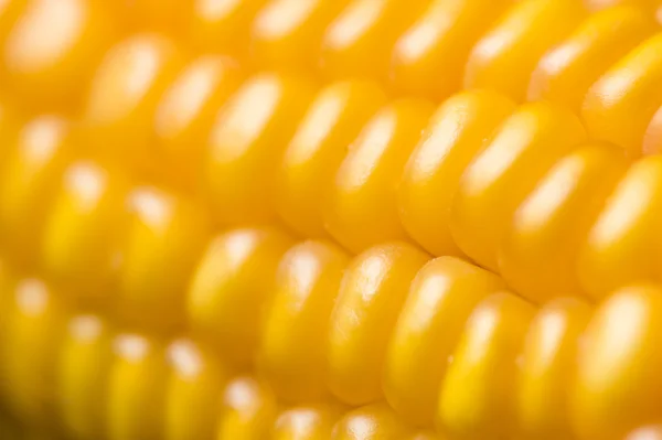 Кукурудза, макро, жовтий, солодкий кукурудза, апетит, їжа, здорове харчування — стокове фото