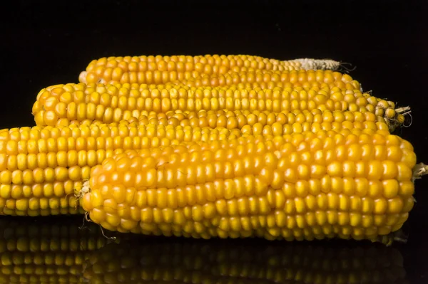 Maíz, mazorca, múltiple, amarillo, maduro, grano, comida — Foto de Stock