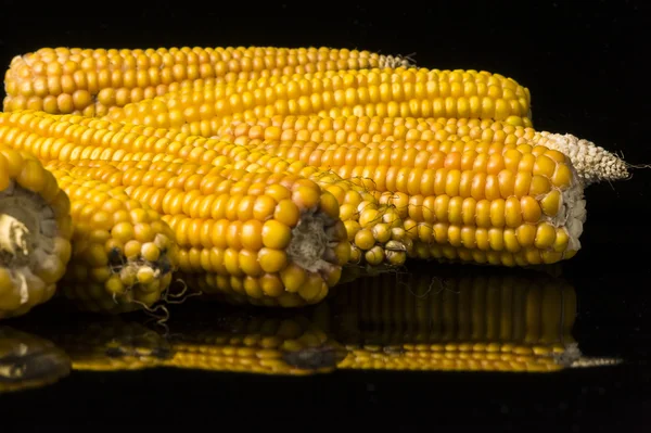 Corn, cob, multiple, yellow, ripe, grain, food — Stock Photo, Image