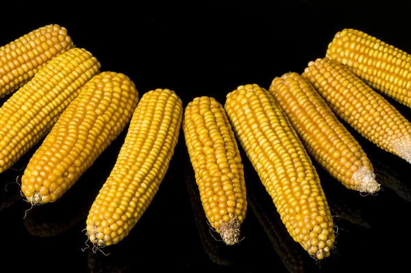 Corn, cob, yellow, decoration, still life, elegance — Stock Photo, Image