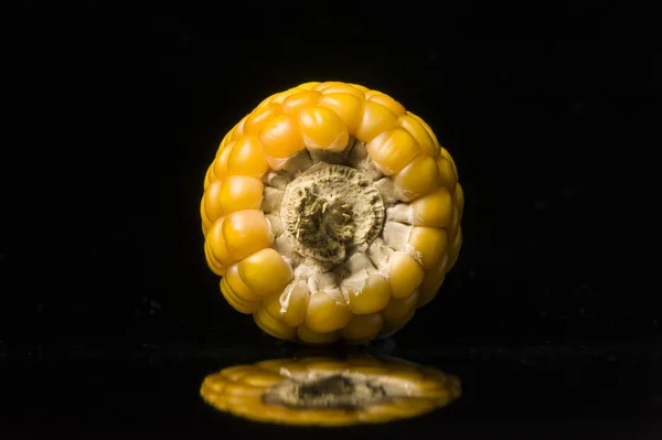 Corn, cob, yellow, ripe, copy space, food, black — Stock Photo, Image