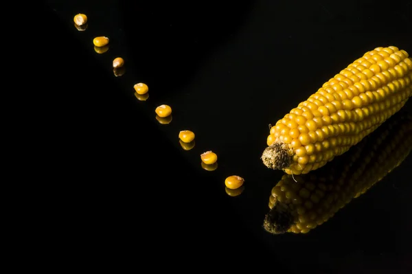 Mais, pannocchia, giallo, maturo, copiare spazio, cibo, nero — Foto Stock