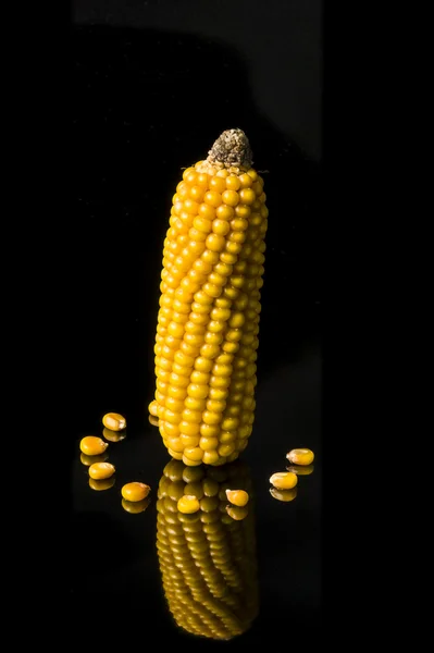 Corn, cob, yellow, ripe, copy space, food, black — Stock Photo, Image