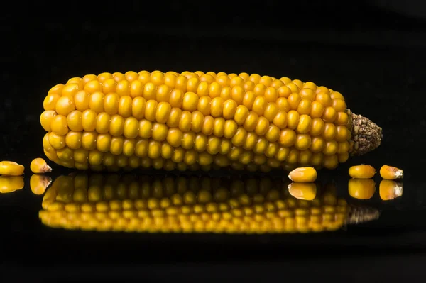 Corn, cob, yellow, ripe, copy space, food, black — Stock Photo, Image