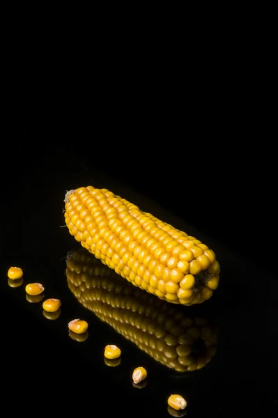 Corn, cob, yellow, ripe, copy space, food, black — Stock Photo, Image