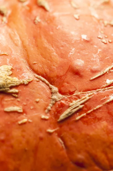 Textured, skin, scarification, leaf vein, pumpkin, peel, orange, — Stock Photo, Image