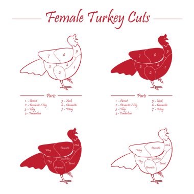 Türkiye'de kadın kesim düzeni